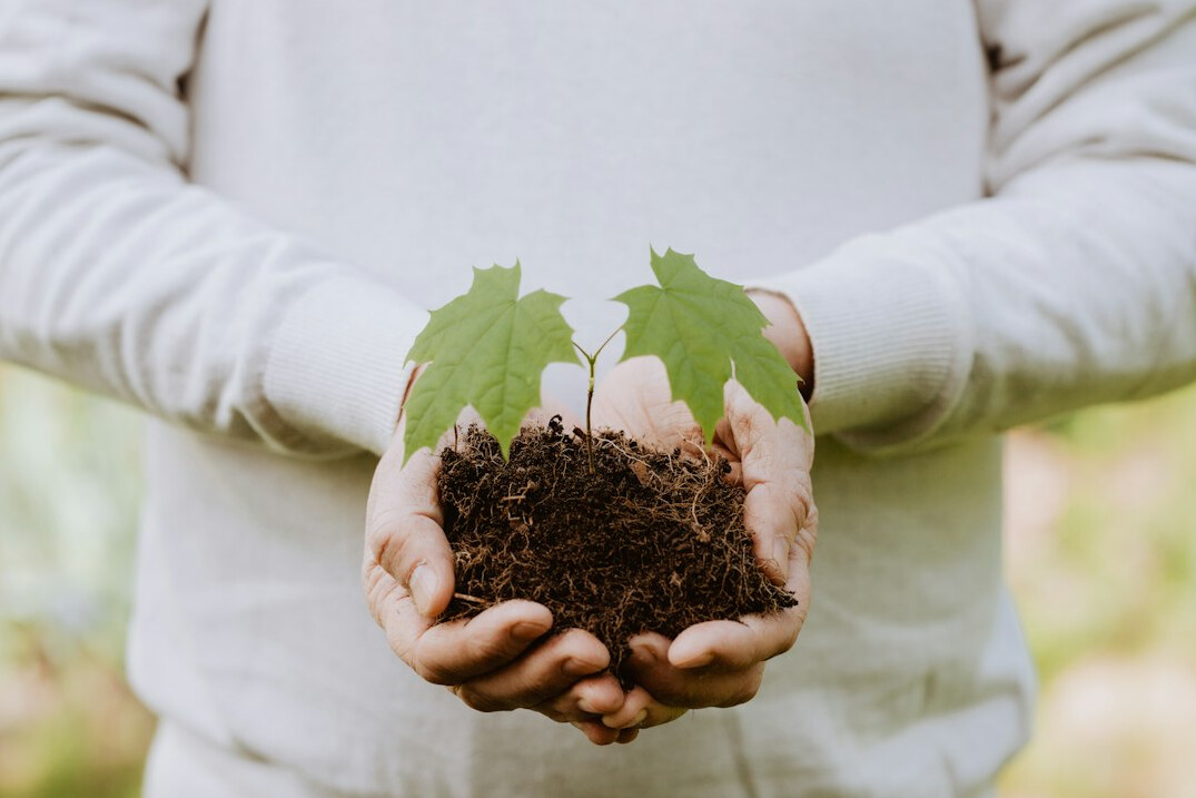 eco friendly business practices